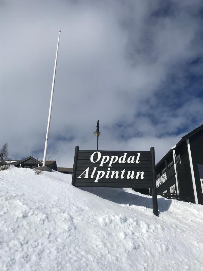 Private Apartments!Oppdal Alpintun, Skisenter-Stolen Exterior foto