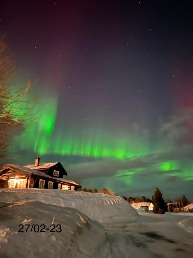 Private Apartments!Oppdal Alpintun, Skisenter-Stolen Exterior foto
