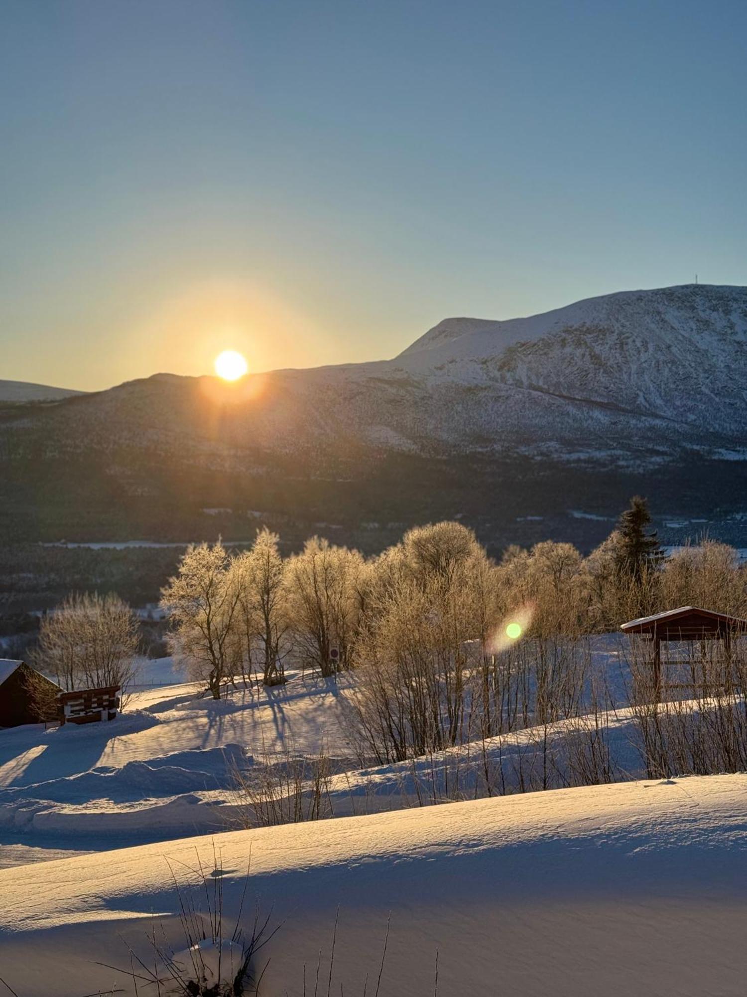 Private Apartments!Oppdal Alpintun, Skisenter-Stolen Exterior foto