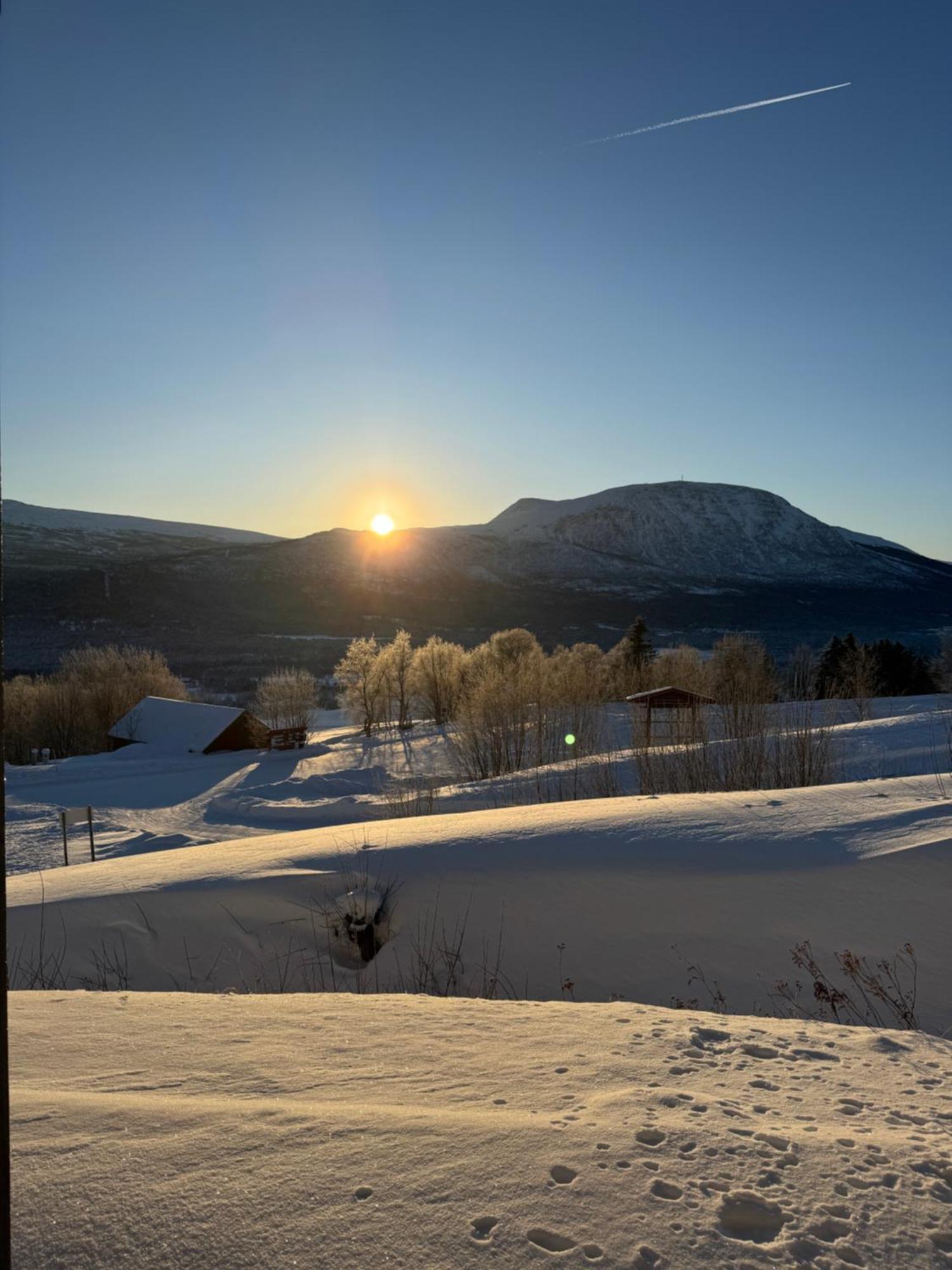Private Apartments!Oppdal Alpintun, Skisenter-Stolen Exterior foto